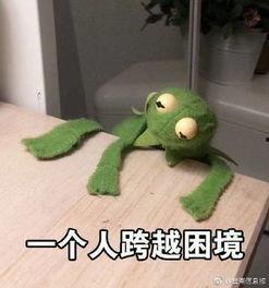 咸鱼主播用在吃瓜,揭秘娱乐圈那些不为人知的幕后故事