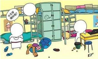 吃瓜前线宿舍分配,揭秘宿舍分配背后的故事与趣闻”