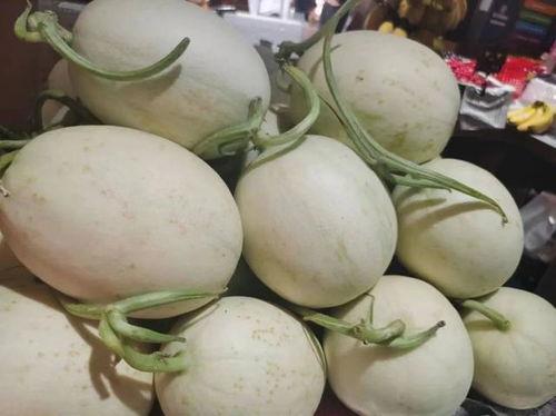 2元吃瓜视频,揭秘短视频时代的娱乐盛宴