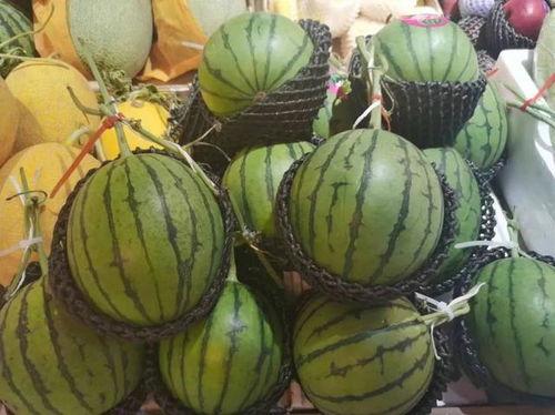 2元吃瓜视频,揭秘短视频时代的娱乐盛宴