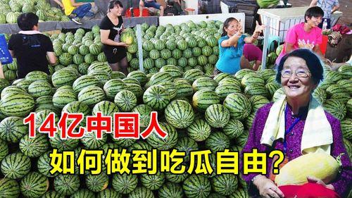 国内吃瓜自由,全民娱乐时代的现象解析