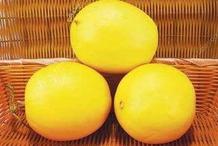 伊丽莎白瓜适合小孩吃吗,儿童饮食佳选，营养美味两不误