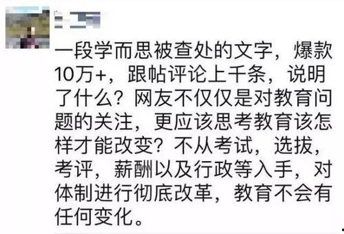 学而思吃瓜,揭秘教育机构背后的“瓜田”故事