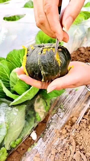 新鲜正宗贝贝瓜怎么吃,新鲜正宗的贝贝瓜美味吃法大揭秘