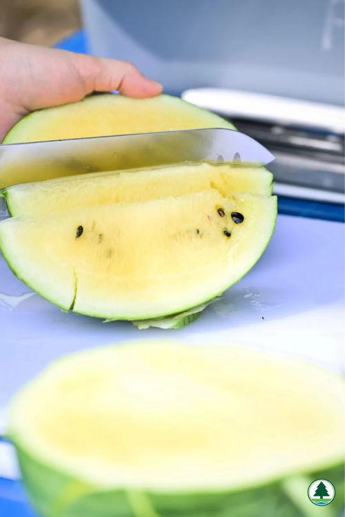 香港吃瓜网站有哪些,揭秘网络八卦风云