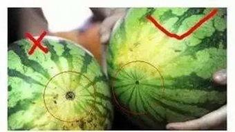 福州吃瓜墙,街头巷尾的美食盛宴