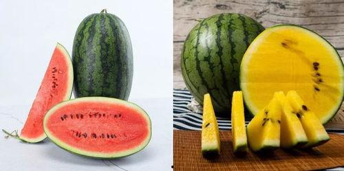 吃瓜的能力,揭秘吃瓜高手们的惊人能力