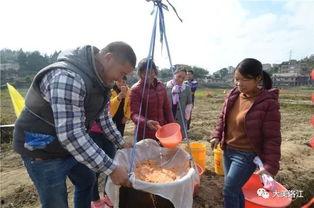 拉萨吃瓜群众群,揭秘藏地生活百态