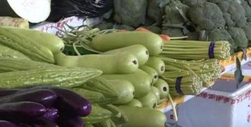 葫芦瓜不能随便吃吗,葫芦瓜食用禁忌与安全指南