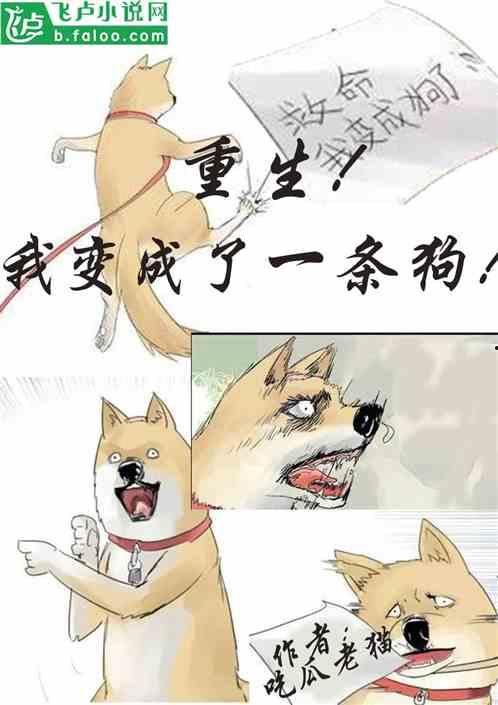 穿越吃瓜全文免费阅读,全程免费阅读，揭秘古代宫廷秘闻