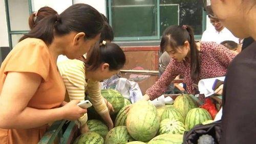 丰台村吃瓜群众