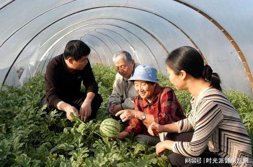 新疆婚礼吃瓜事件