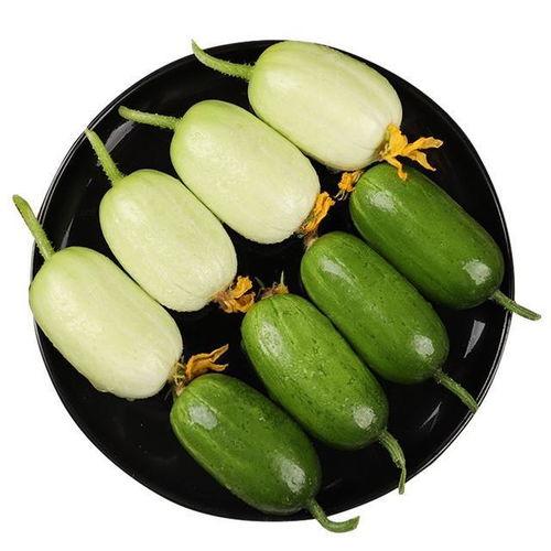 初夏吃伊丽莎白瓜好吗,伊丽莎白瓜的清新口感与营养价值，你值得拥有！