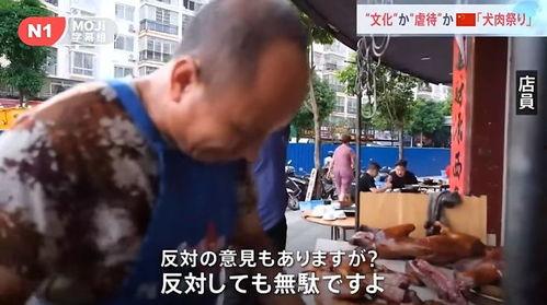 路边吃瓜群众报道视频,一幕幕精彩瞬间