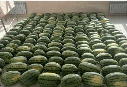 贵州学校吃瓜,揭秘校园食品安全风波