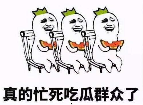 今夜做吃瓜群众,化身吃瓜群众，一窥娱乐圈风云变幻