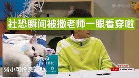 吃瓜群众互动榜,揭秘热门话题背后的热议焦点