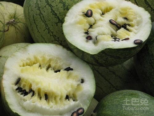 幼儿吃籽瓜文案,籽瓜营养新食尚
