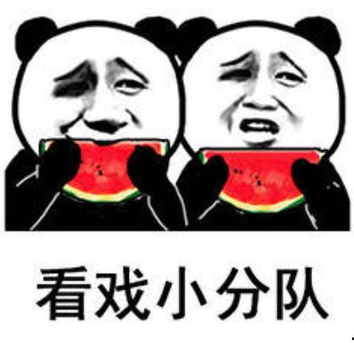 打架被吃瓜,一场打架引发的全民围观