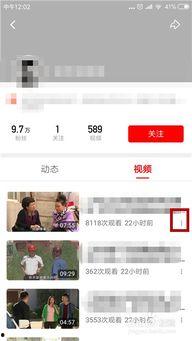 吃瓜视频如何举报,轻松掌握举报技巧，共建清朗网络环境