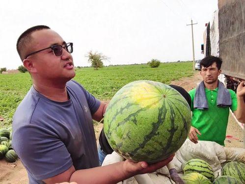 揭阳最新吃瓜新闻,最新网红美食事件引发全民热议