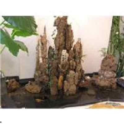 青岛假山吃瓜,夏日奇观引热议