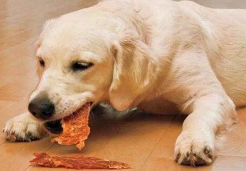 吃瓜吃章鱼吃狗视频,吃瓜、吃章鱼、吃狗的趣味视频大盘点