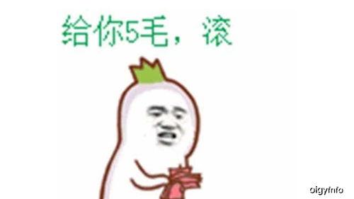 吃瓜群众生日,揭秘吃瓜群众的欢乐时光