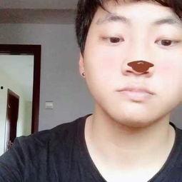 吃瓜大叔停更,吃瓜大叔停更背后的故事与启示