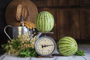 什么是吃瓜穷嗨,网络狂欢背后的经济真相