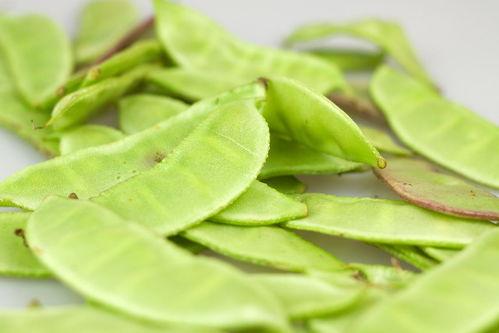 吃瓜大料唐青青,吃瓜大料的美食探索之旅