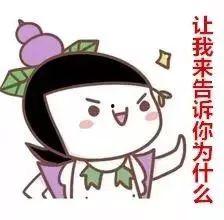 有人拿瓜给我吃,共享美好时刻的温馨瞬间