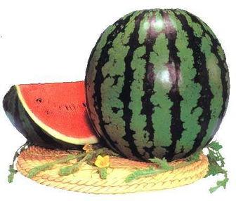 吃瓜是吃西瓜还是瓜子好,揭秘“吃瓜”背后的美食奥秘