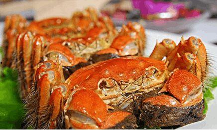 大闸蟹吃瓜还是吃母,吃公还是吃母，揭秘蟹界美食之谜