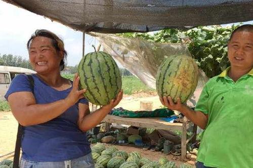 河北经贸闹鬼吃瓜,揭秘校园神秘“吃瓜”传闻