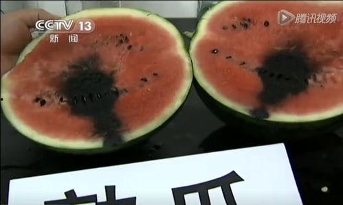 曹县吃瓜视频在线吃瓜,线上围观，共享欢乐时光