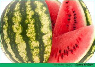 每日聪颖吃瓜视频,跟随聪颖，揭秘娱乐圈新鲜事