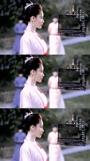 吃瓜人的官家娘子,吃瓜人的神秘生活揭秘