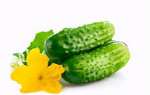 常吃瓜菜,营养美味，健康生活必备