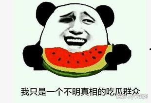 新会吃瓜事件,一场引发社会热议的“瓜农”风波