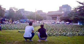 魏县吃瓜事件邯郸