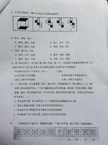 带你吃瓜驾校考题,驾校考题揭秘，轻松应对考试