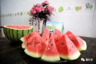 红安县吃瓜,探寻红安特色美食之旅