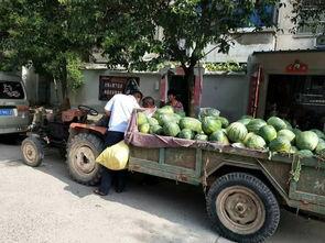 吃瓜祥符区,揭秘网红打卡地的魅力与故事