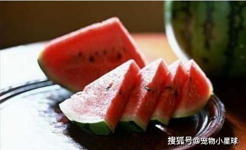 瓜田荡漾吃瓜,尽享夏日清凉美食之旅