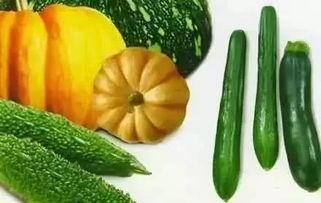 黄麒吃瓜,揭秘娱乐圈幕后故事