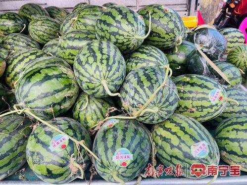 南宁群体吃瓜事件,一场引发热议的街头现象揭秘