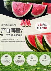 吃瓜抢先看,揭秘娱乐圈最新热点事件