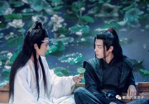 吃瓜陈情令,吃瓜群众眼中的仙侠世界