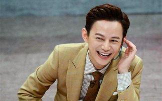 黄磊的吃瓜节目推荐,揭秘娱乐圈幕后故事与美食诱惑